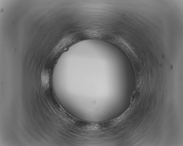 X0000087690124200705181804