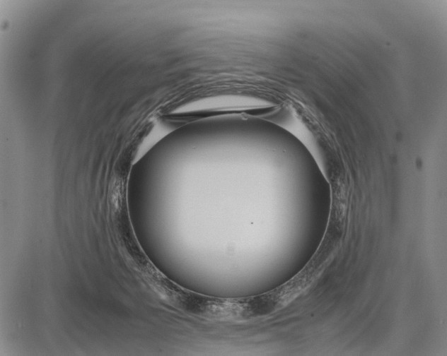 X0000087690125200705181804