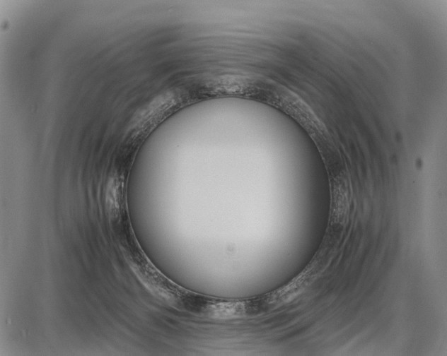 X0000087690126200705181804