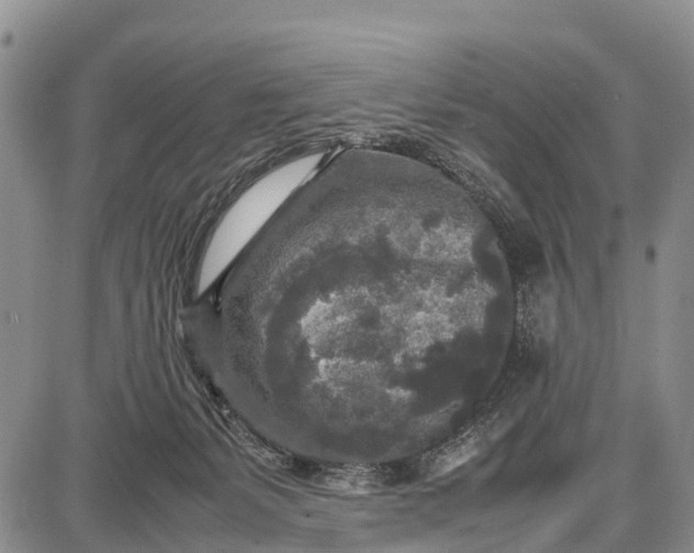 X0000087690127200705181804