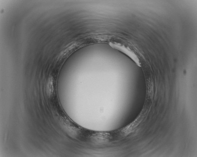 X0000087690128200705181804