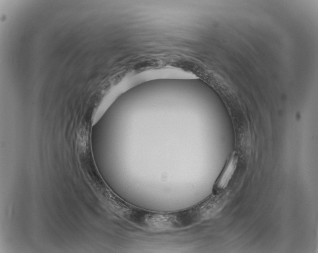 X0000087690129200705181804