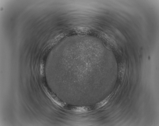 X0000087690130200705181804