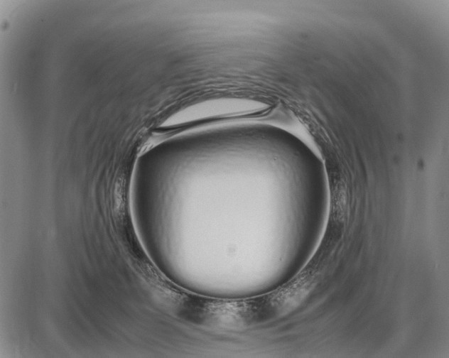 X0000087690131200705181804