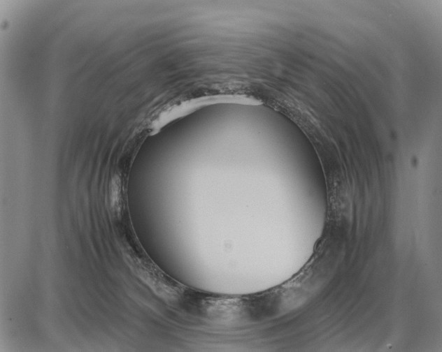 X0000087690132200705181804