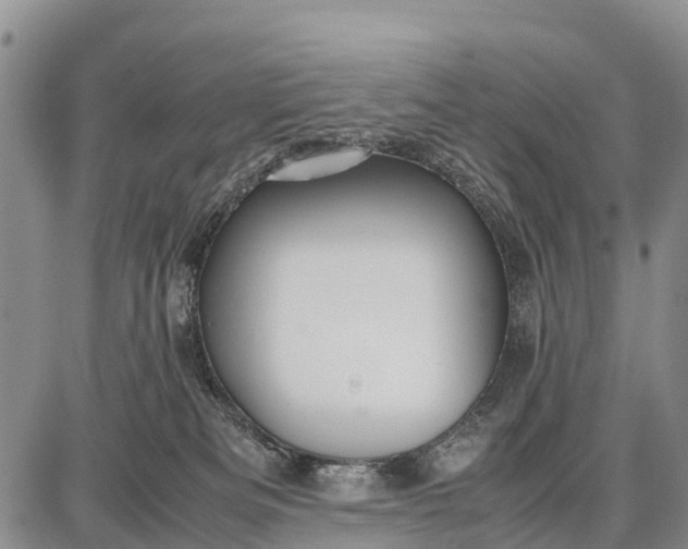 X0000087690133200705181804