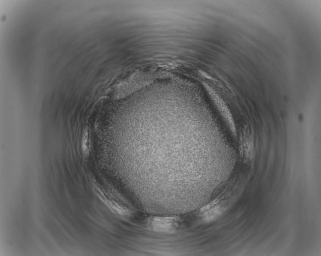 X0000087690134200705181804