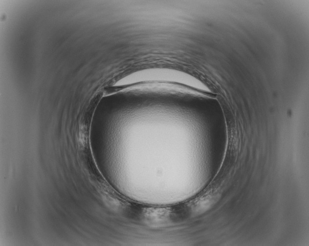 X0000087690135200705181804