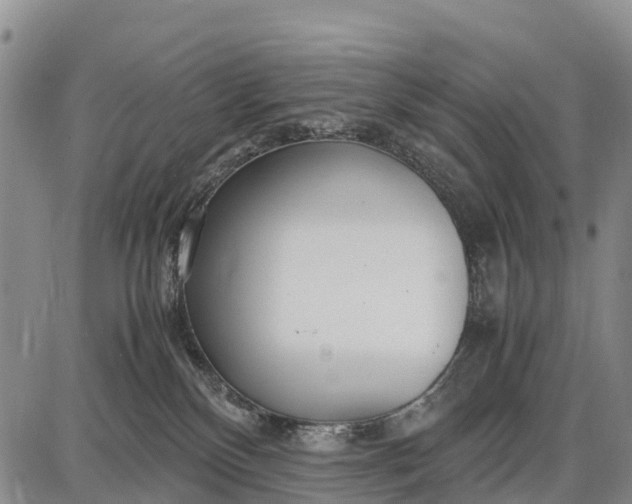 X0000087690136200705181804