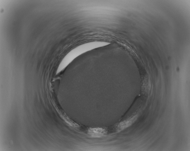 X0000087690137200705181804