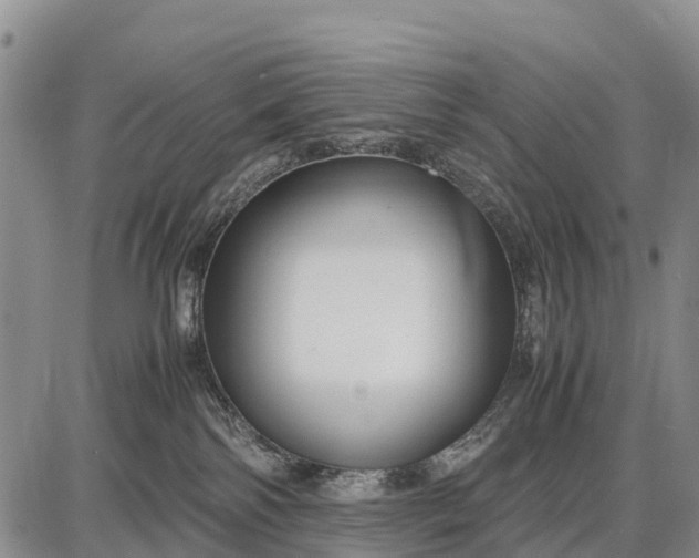 X0000087690138200705181804