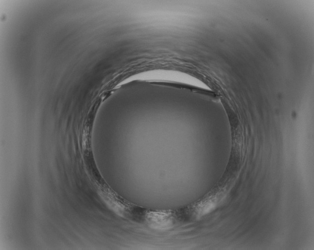 X0000087690139200705181804