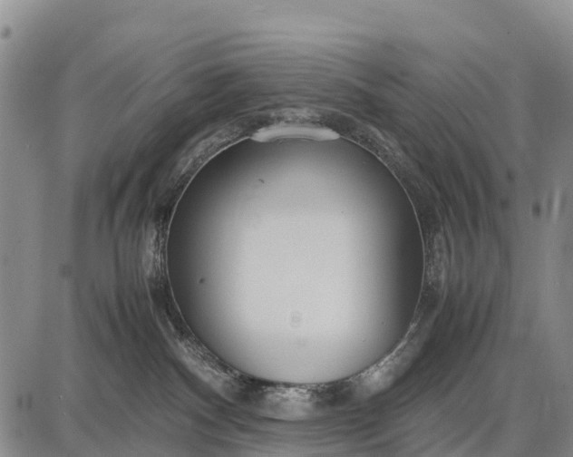 X0000087690140200705181804