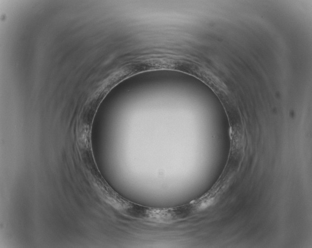 X0000087690141200705181804