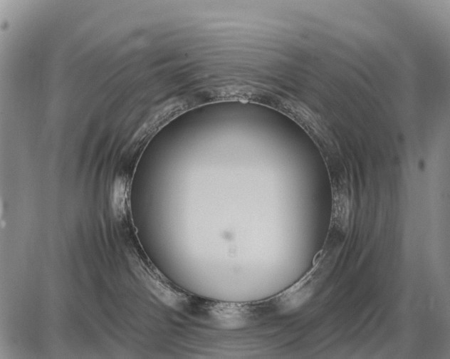 X0000087690142200705181804