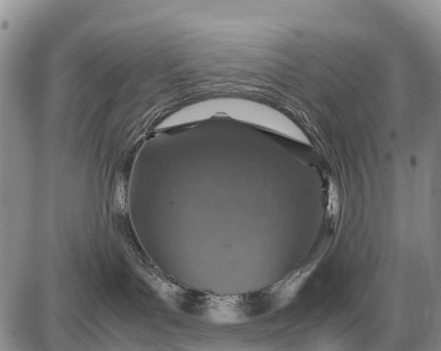 X0000087690143200705181804