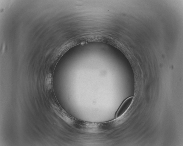 X0000087690144200705181804