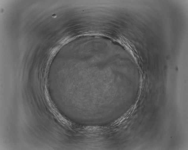 X0000087690145200705181803