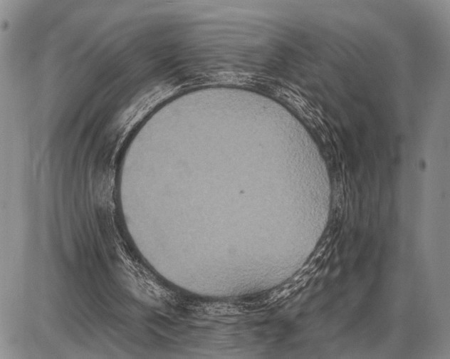 X0000087690146200705181803