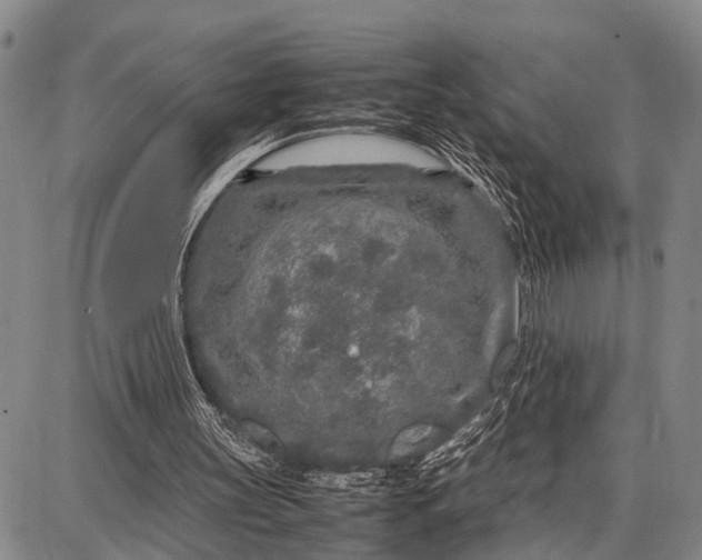 X0000087690147200705181803