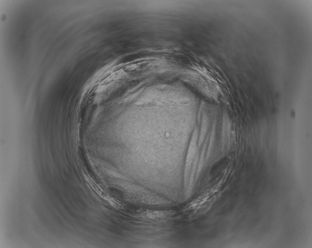 X0000087690149200705181803