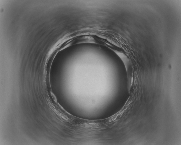 X0000087690150200705181803