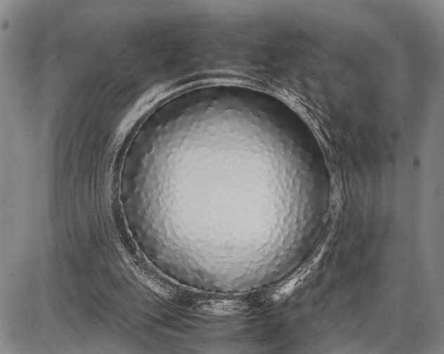 X0000087690151200705181803