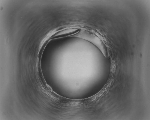 X0000087690152200705181803