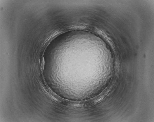 X0000087690153200705181803