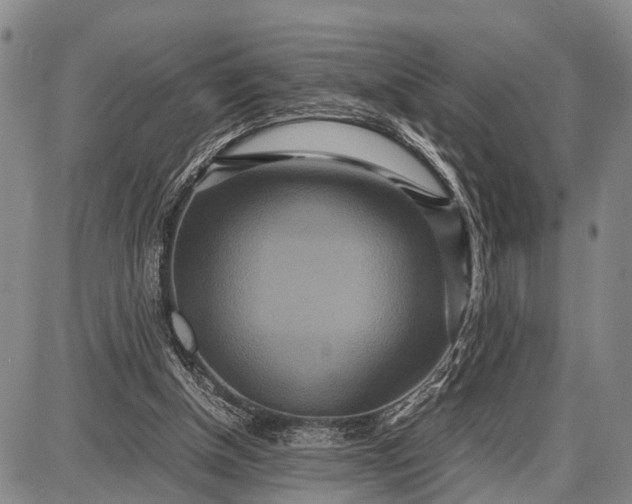 X0000087690154200705181803