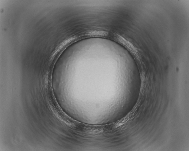 X0000087690155200705181803