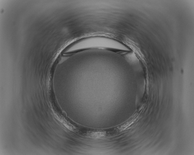 X0000087690156200705181803