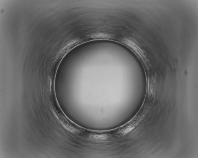 X0000087690157200705181803