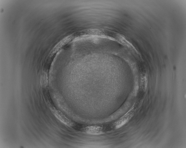 X0000087690158200705181803