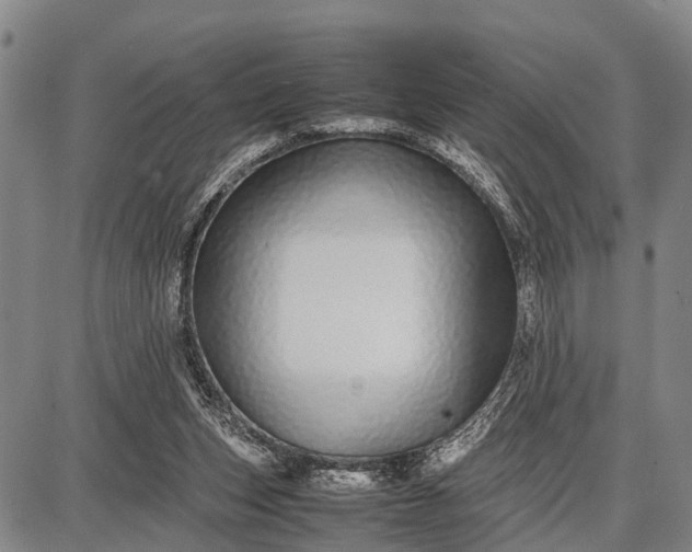 X0000087690159200705181803