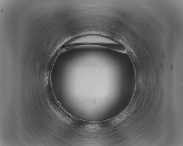 X0000087690160200705181803