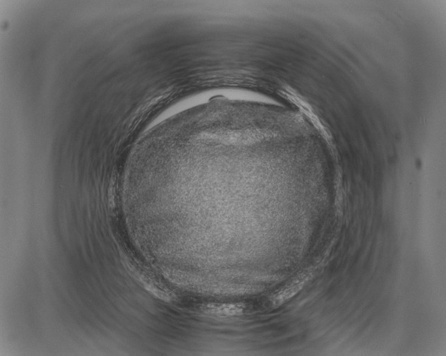 X0000087690161200705181803