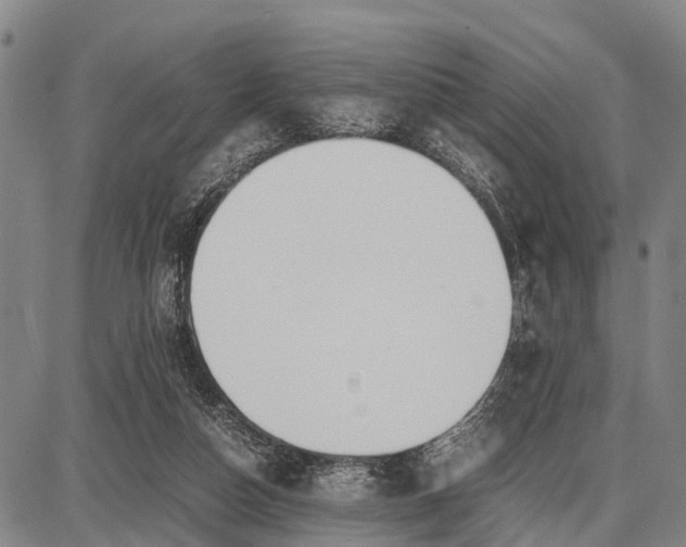 X0000087690162200705181803