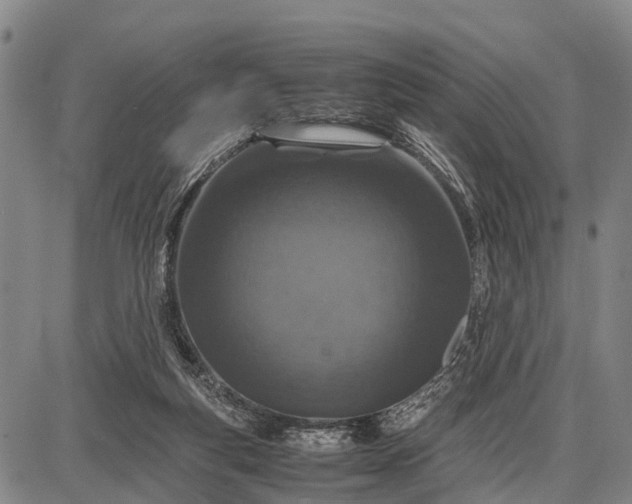 X0000087690163200705181803