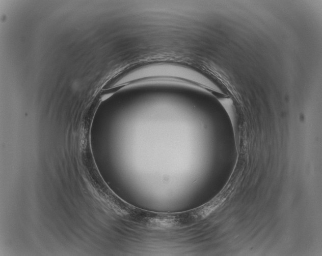 X0000087690164200705181803