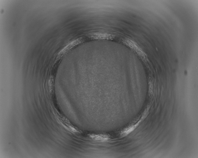 X0000087690165200705181803