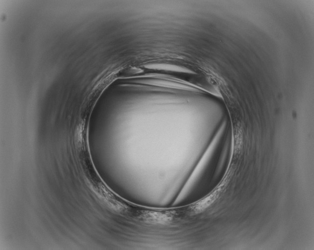 X0000087690166200705181803