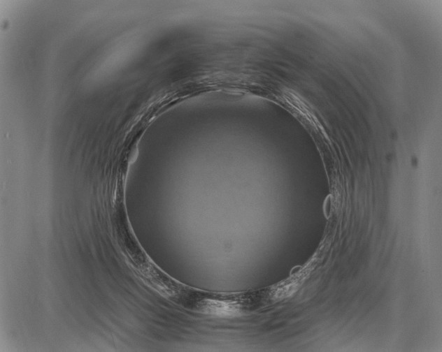 X0000087690167200705181803