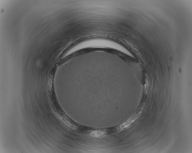 X0000087690168200705181803