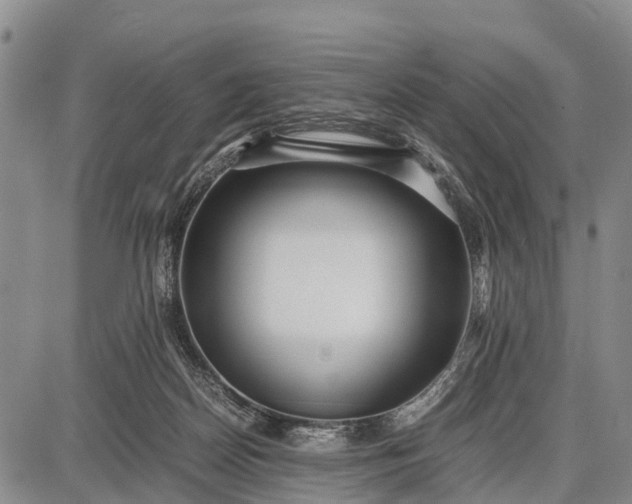 X0000087690170200705181803