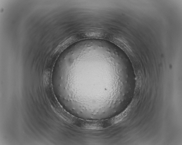 X0000087690171200705181803