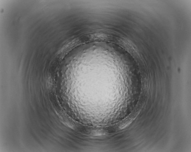 X0000087690173200705181803