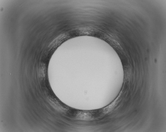 X0000087690174200705181804