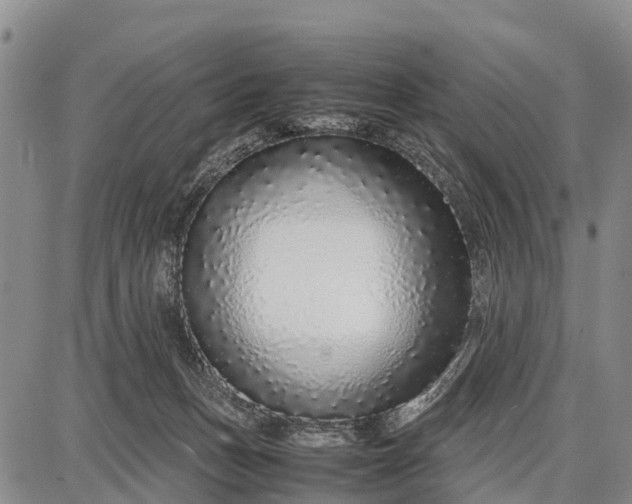 X0000087690175200705181804