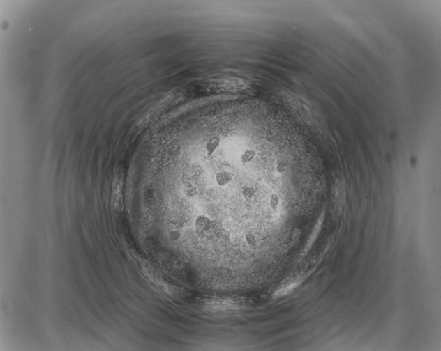 X0000087690177200705181804